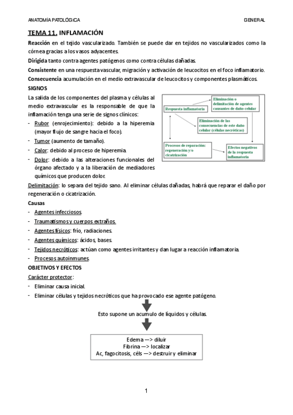 Miniatura del documento Tema-11.pdf