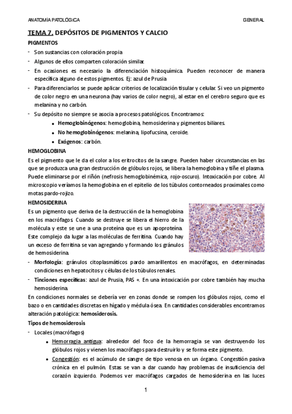 Miniatura del documento Tema-7.pdf