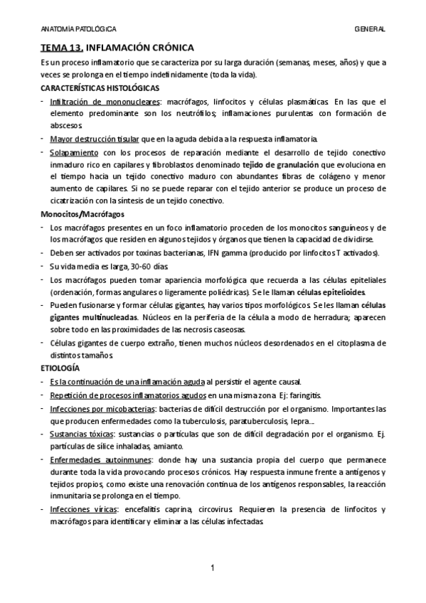 Miniatura del documento TEMA-13.pdf