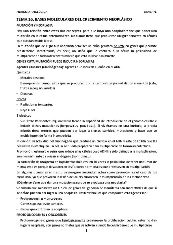 Miniatura del documento TEMA-16.pdf
