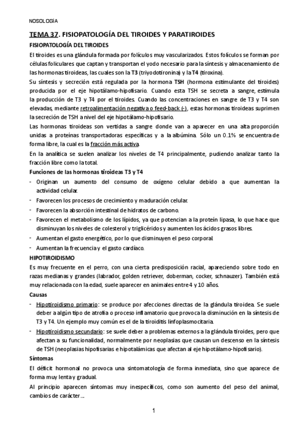 Miniatura del documento TEMA-37.pdf