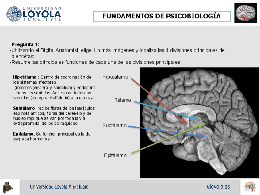 Miniatura del documento 4.pdf
