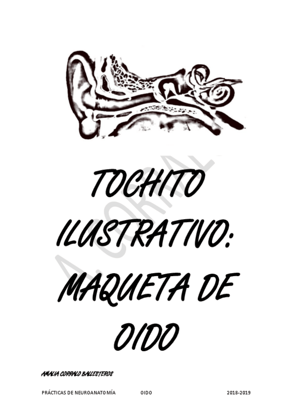 Miniatura del documento TOCHITO-OIDO-A.pdf