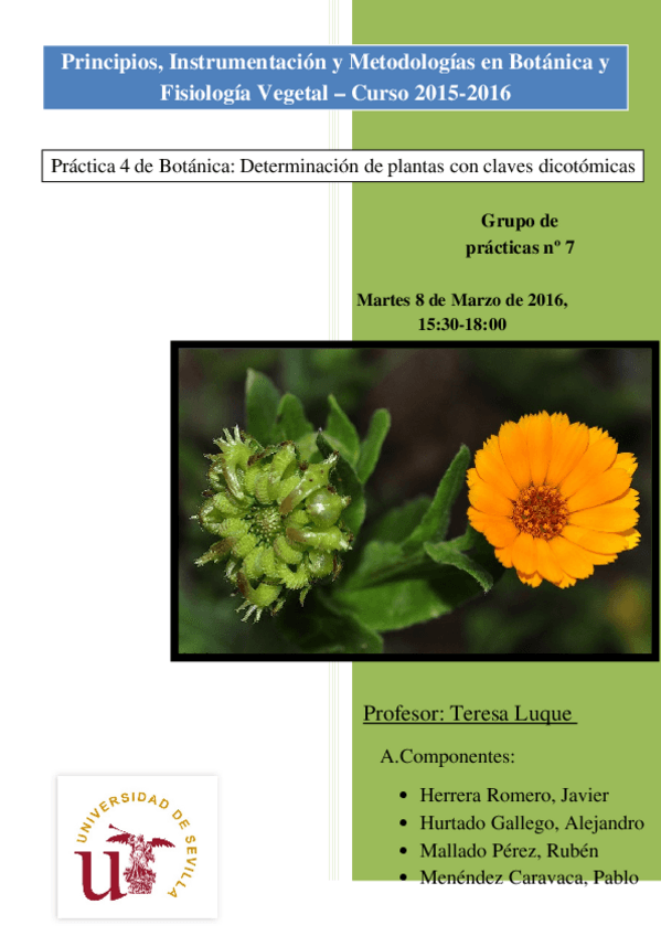 Miniatura del documento Práctica 4.docx