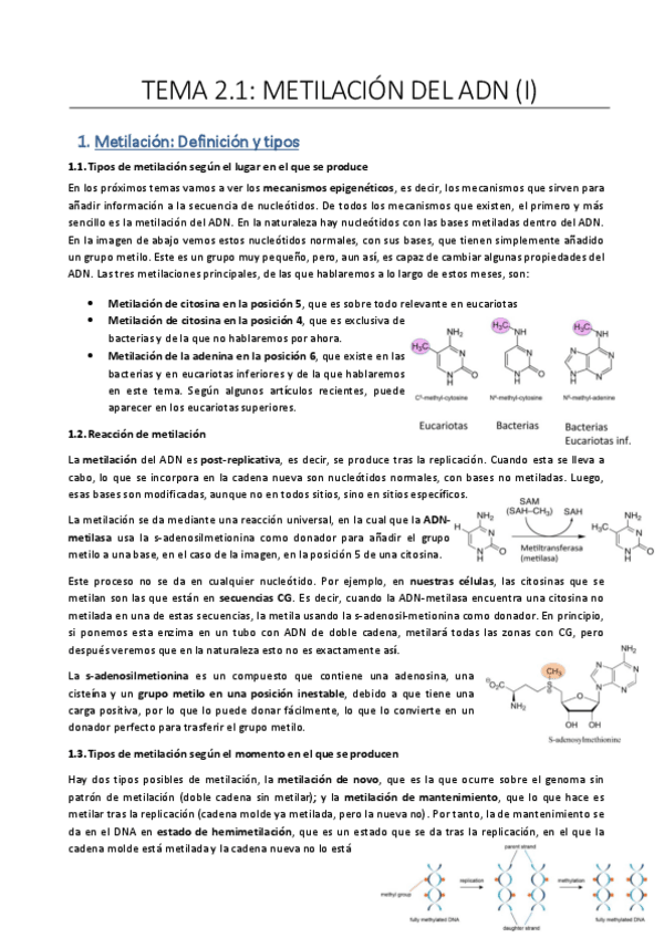 Miniatura del documento Tema-2.pdf