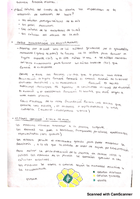 Miniatura del documento PREGUNTAS-EXAMEN-BIO-VEGETAL.pdf