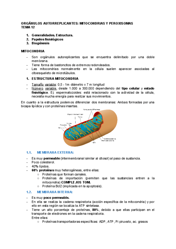 Miniatura del documento BIOLOGIA-TEMA-12.pdf