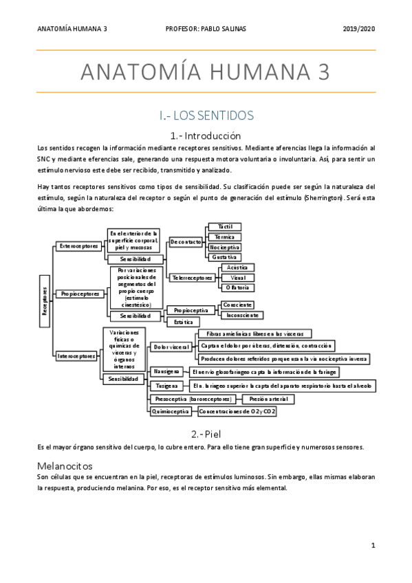 Miniatura del documento LOS-SENTIDOS.pdf