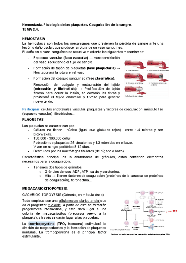 Miniatura del documento FISIOLOGIA-2.pdf