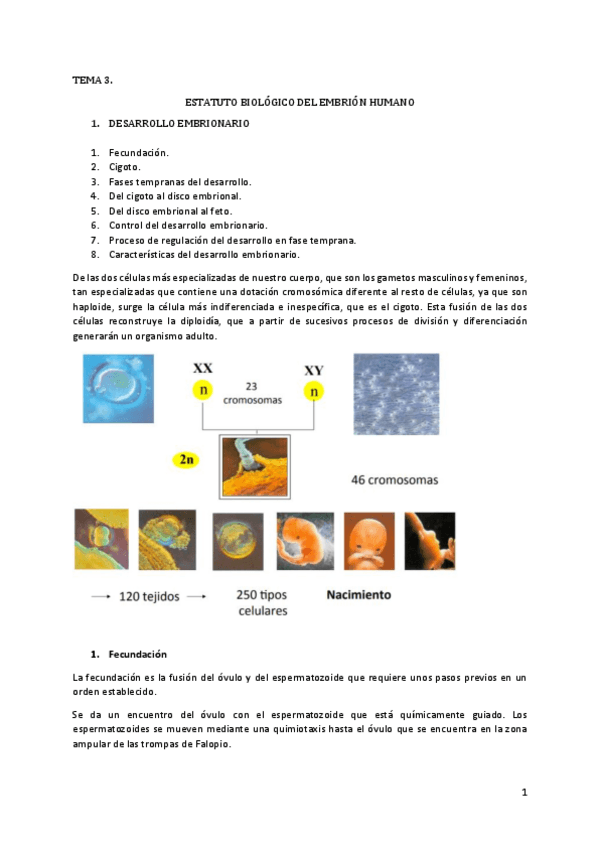 Miniatura del documento T3.pdf