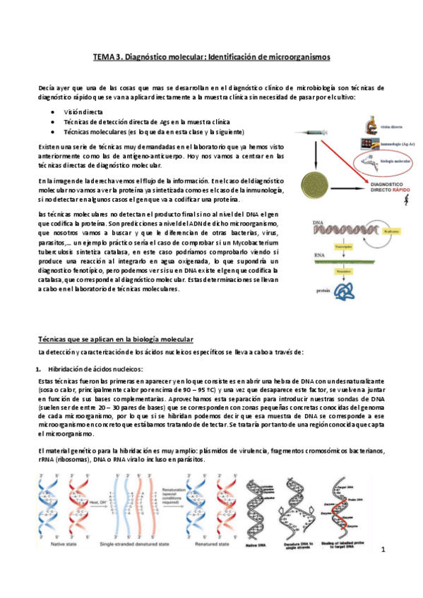 Miniatura del documento Tema-3.pdf