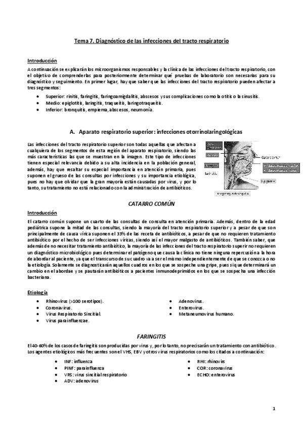 Miniatura del documento Tema-7.pdf