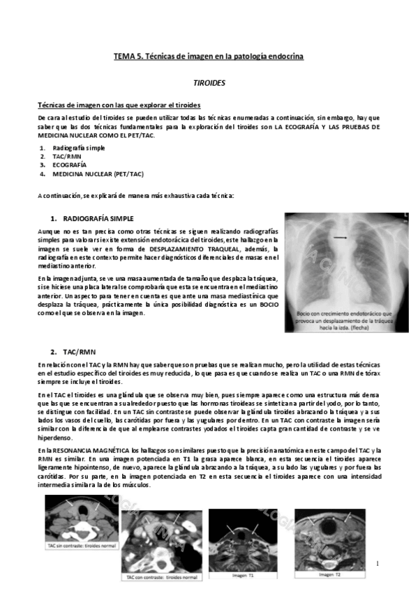 Miniatura del documento Tema-5.pdf