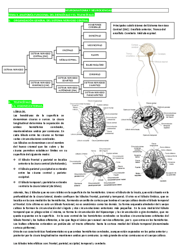 Miniatura del documento TEMA-3.pdf