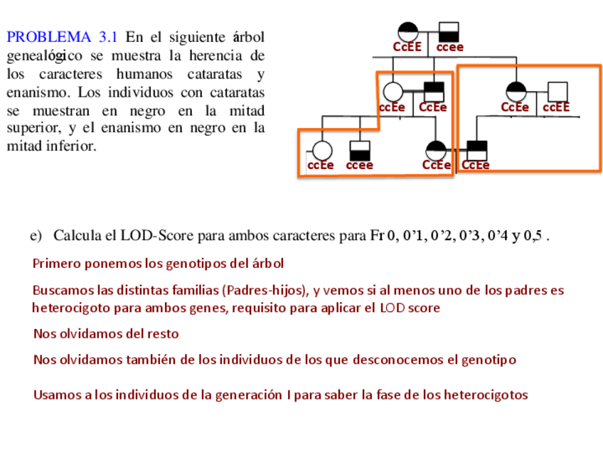 Miniatura del documento PROBLEMAS P4 - SOLUCIÓN LOD SCORE (1).pdf