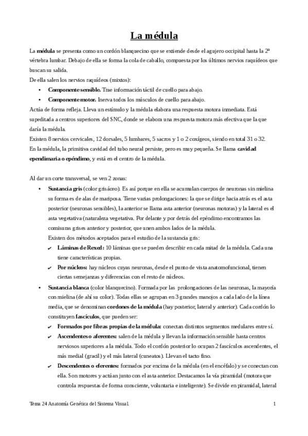 Miniatura del documento Tema-24-la-medula.pdf