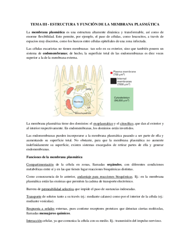 Miniatura del documento Tema 3 - Membrana Plasmática.pdf