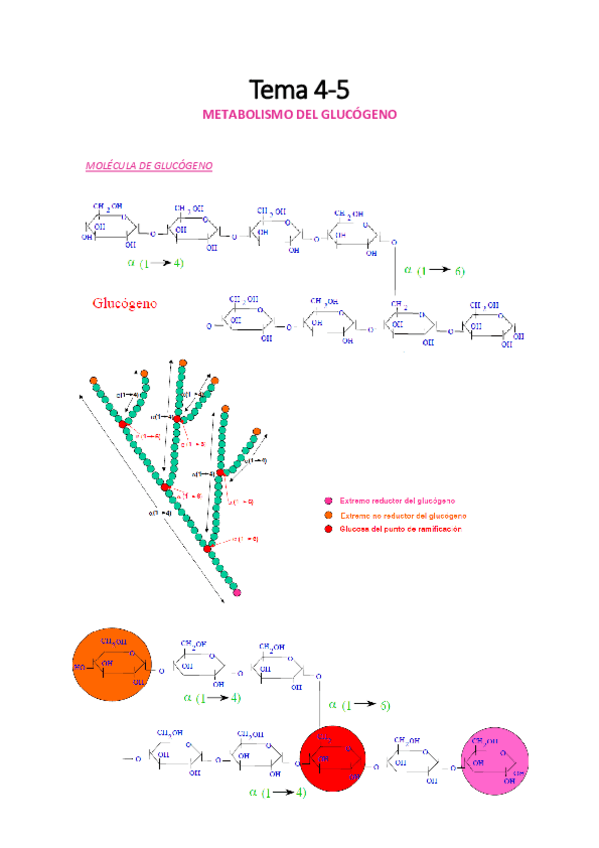 Miniatura del documento TEMA-4-5-RM.pdf