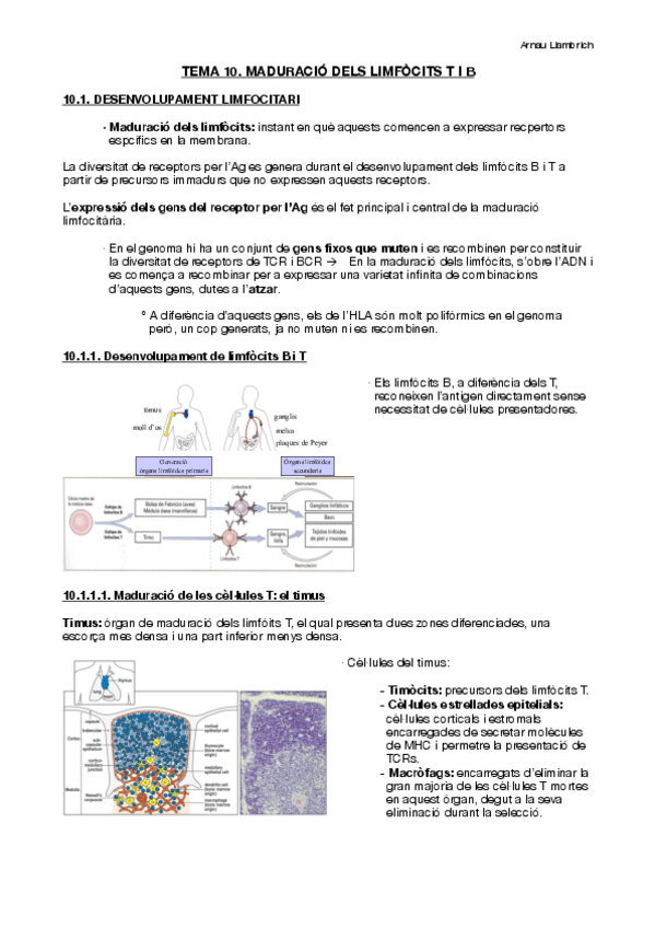 Miniatura del documento Apunts-Immunologia-Tema-10.pdf