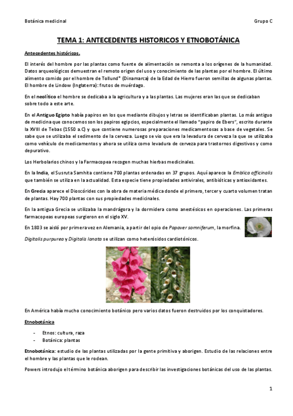 Miniatura del documento tema-1.pdf