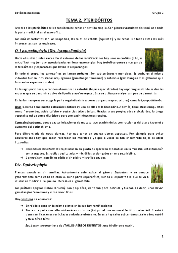 Miniatura del documento tema-2.pdf