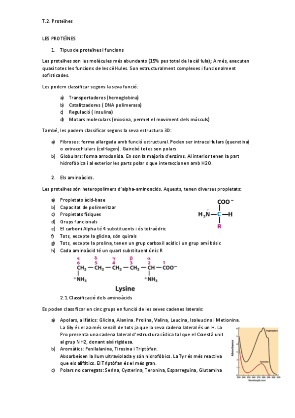 Miniatura del documento T.pdf