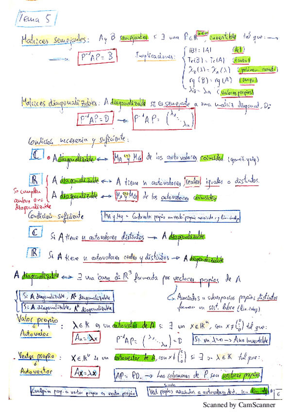 Miniatura del documento Resumen-Completo-Tema-5-Garrido.pdf