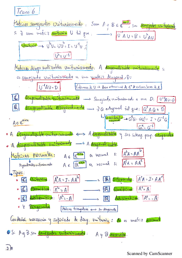 Miniatura del documento Resumen-Completo-Tema-6-Garrido.pdf