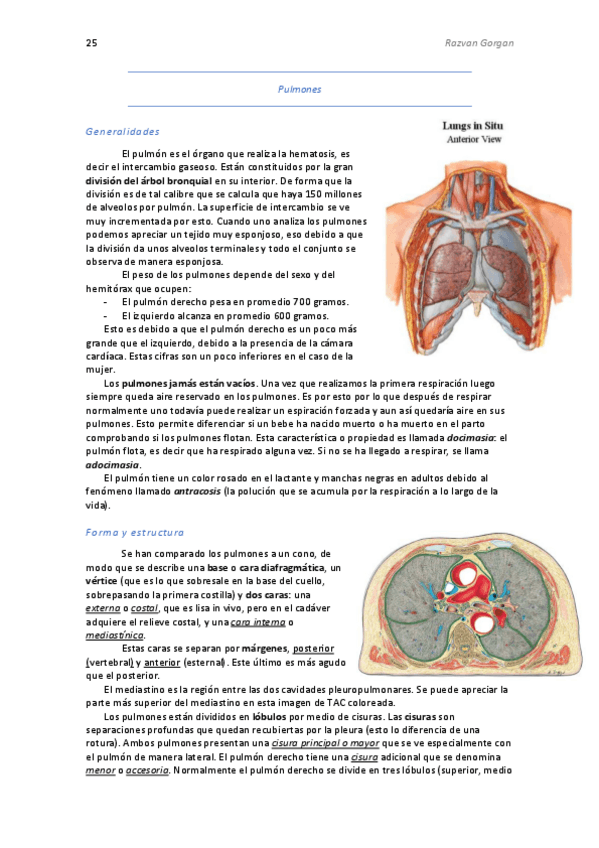 Miniatura del documento 4.Tráquea y Bronquios