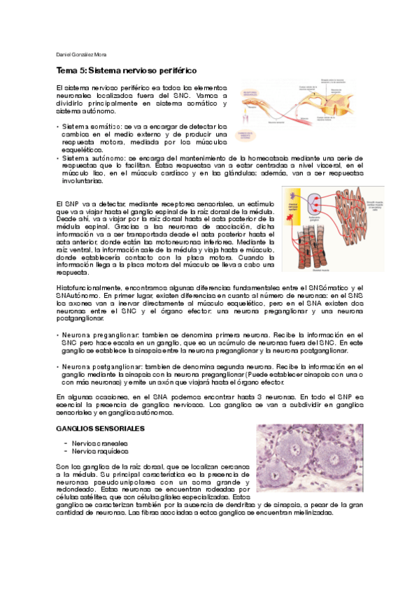Miniatura del documento T5.pdf