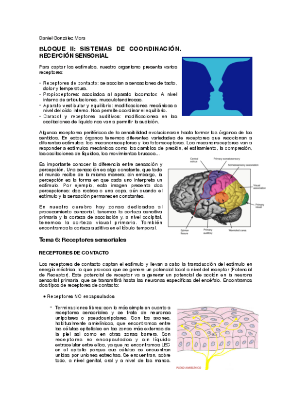 Miniatura del documento T6.pdf
