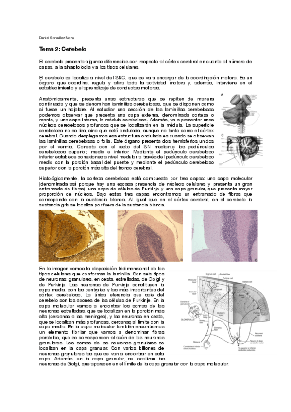 Miniatura del documento T2.pdf