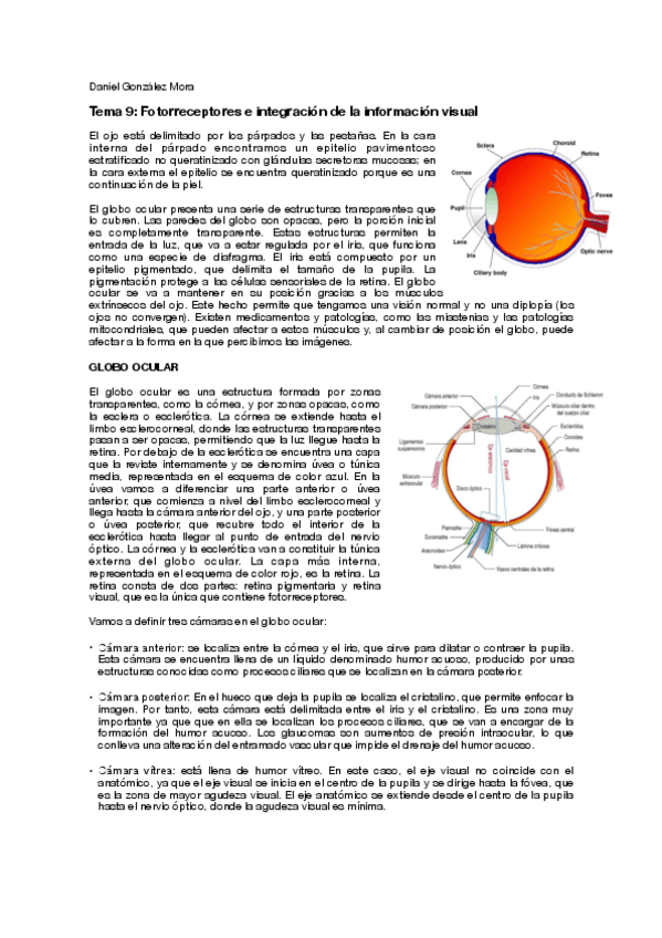 Miniatura del documento T9.pdf