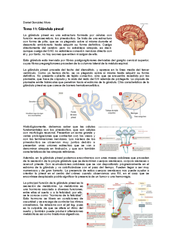 Miniatura del documento T11.pdf