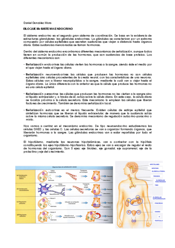 Miniatura del documento T10.pdf