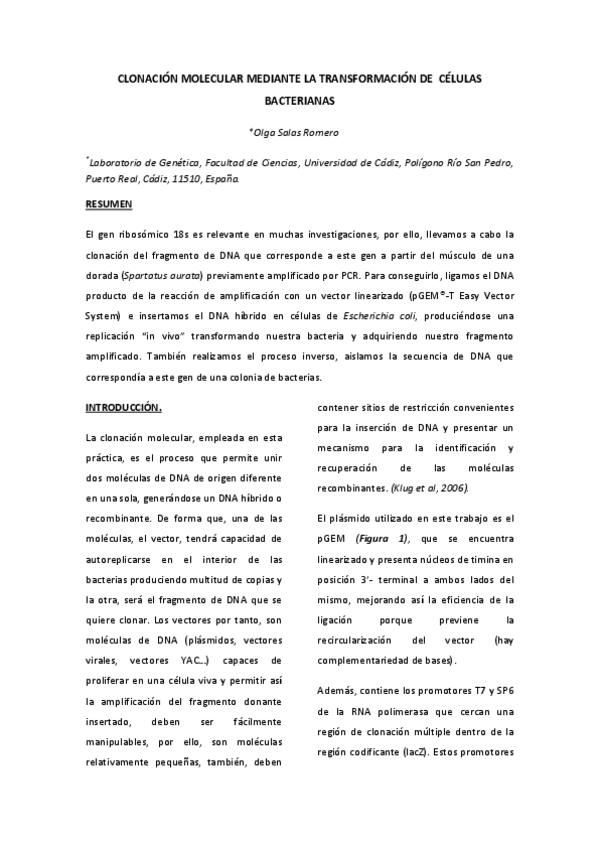 Miniatura del documento CLONACIÓN MOLECULAR MEDIANTE LA TRANSFORMACIÓN DE CÉLULAS BACTERIANAS.pdf