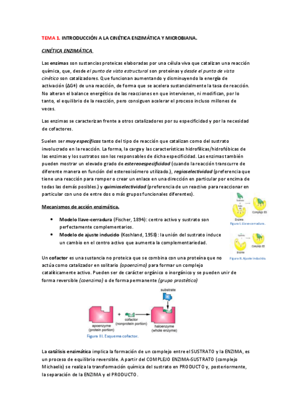 Miniatura del documento TEMA 1- Introducción .pdf