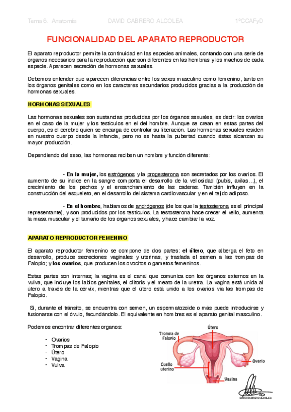 Miniatura del documento 6-PDF-Funcionalidad-del-aparato-reproductor.pdf