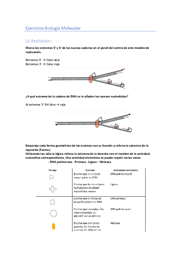 Miniatura del documento EJERCICIOS-MOLECULAR.pdf