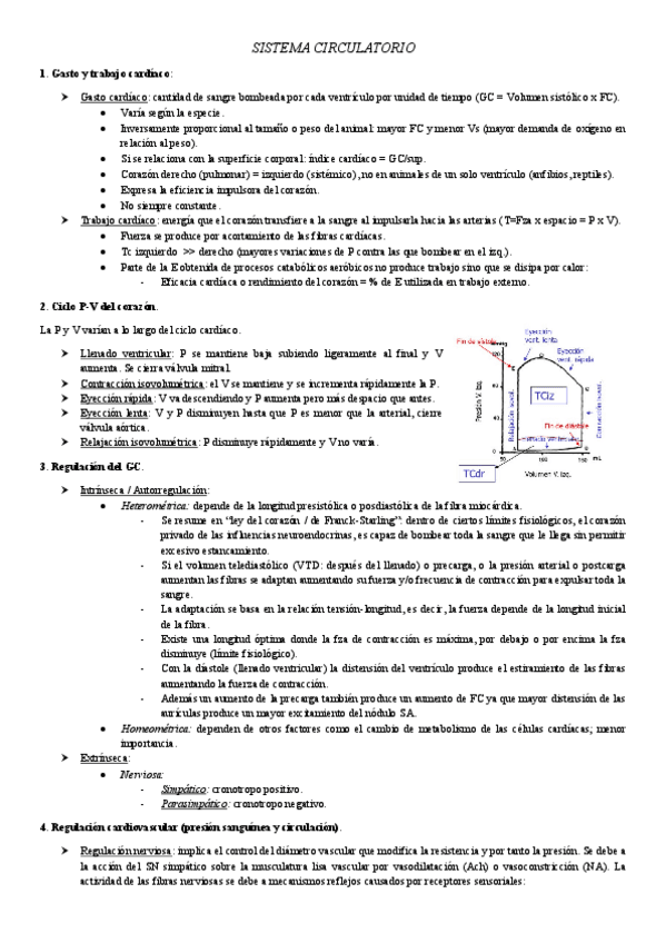 Miniatura del documento Posibles-preguntas.pdf