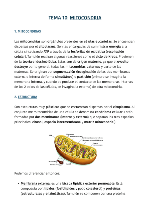 Miniatura del documento TEMA-10.pdf