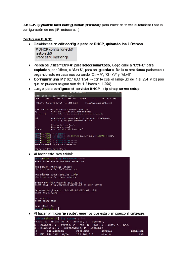 Miniatura del documento DHCP.pdf