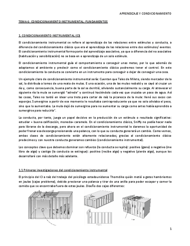Miniatura del documento TEMA-6-ci.pdf