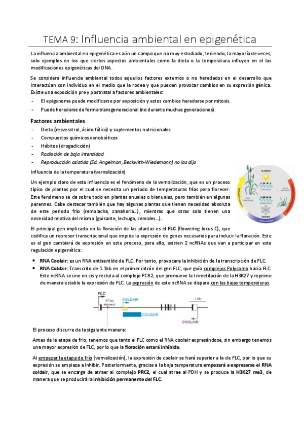 Miniatura del documento Tema-9-La-influencia-ambiental-en-la-epigeneticaI.pdf