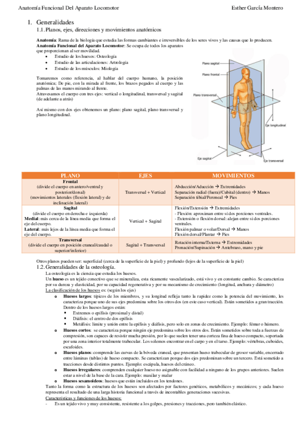 Miniatura del documento APUNTES-ANATOMIA.pdf