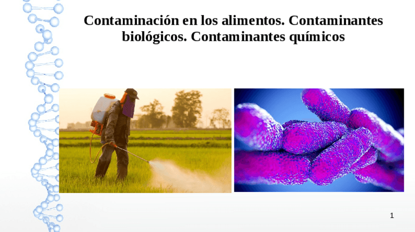 Miniatura del documento contaminacion-en-los-alimentos-promocion-seminario-3.pdf