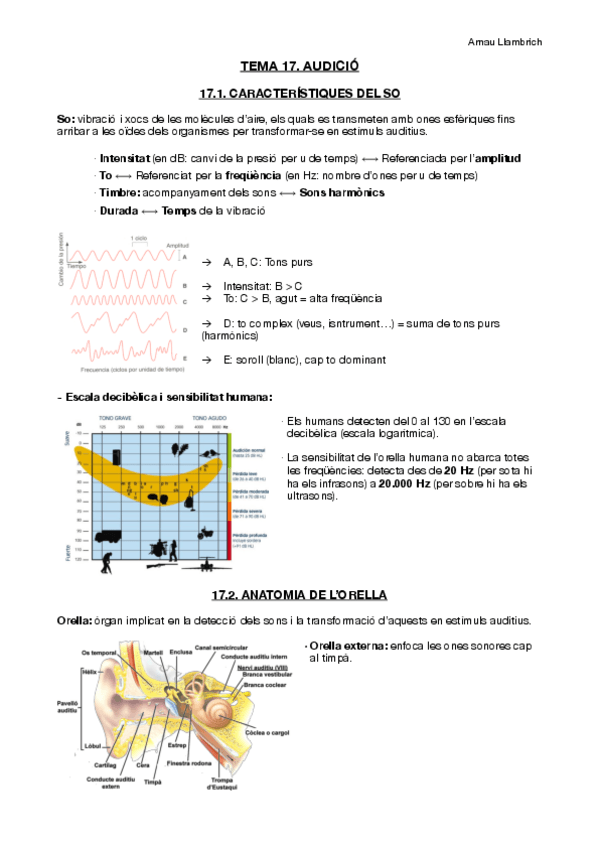 Miniatura del documento Apunts-Fisiologia-i-Fisiopatologia-I-Tema-17.pdf