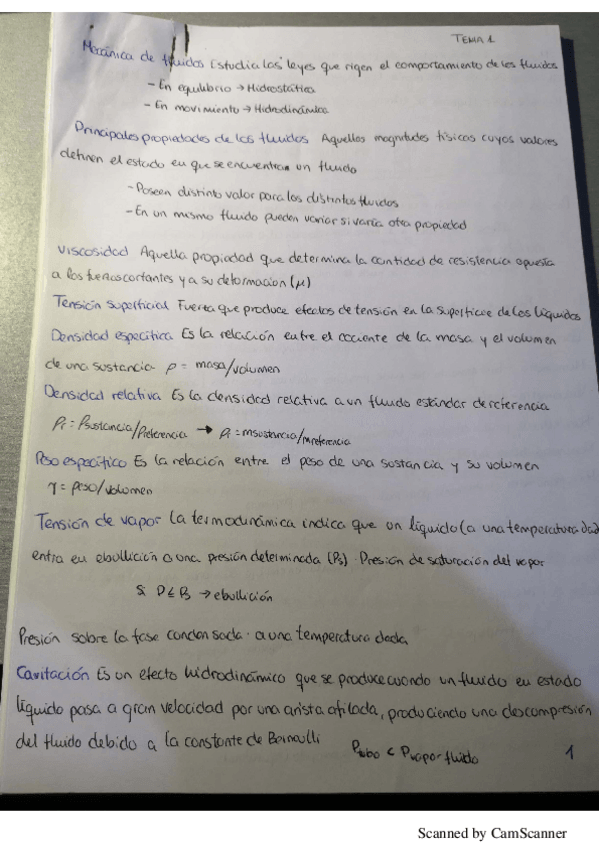 Miniatura del documento ApuntesProblemas.pdf