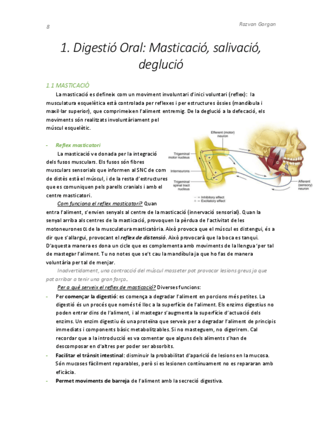 Miniatura del documento T1.pdf