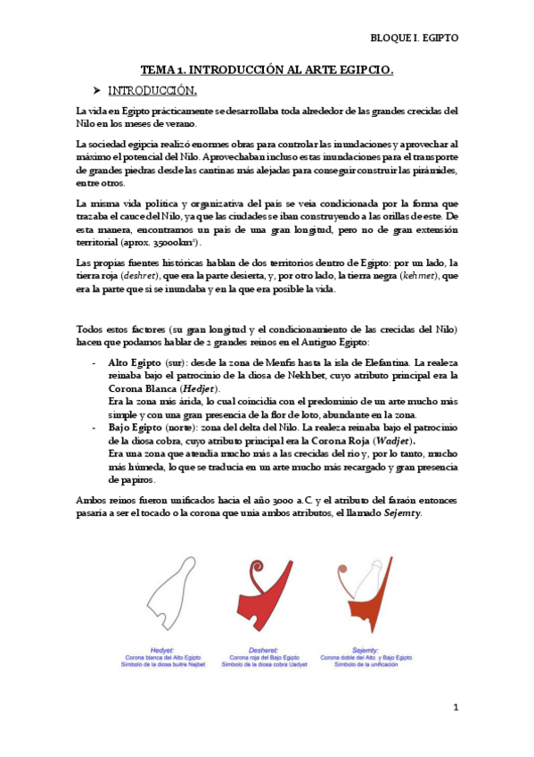 Miniatura del documento TEMA-1.pdf